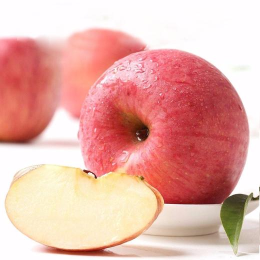 枝悦 烟台红富士苹果5斤/9斤 脆甜爆汁 严选大果 72小时发货（果蔬生鲜签收24小时内保留完整包装面单可售后，超时不予理赔，拍下默认接受） 商品图1