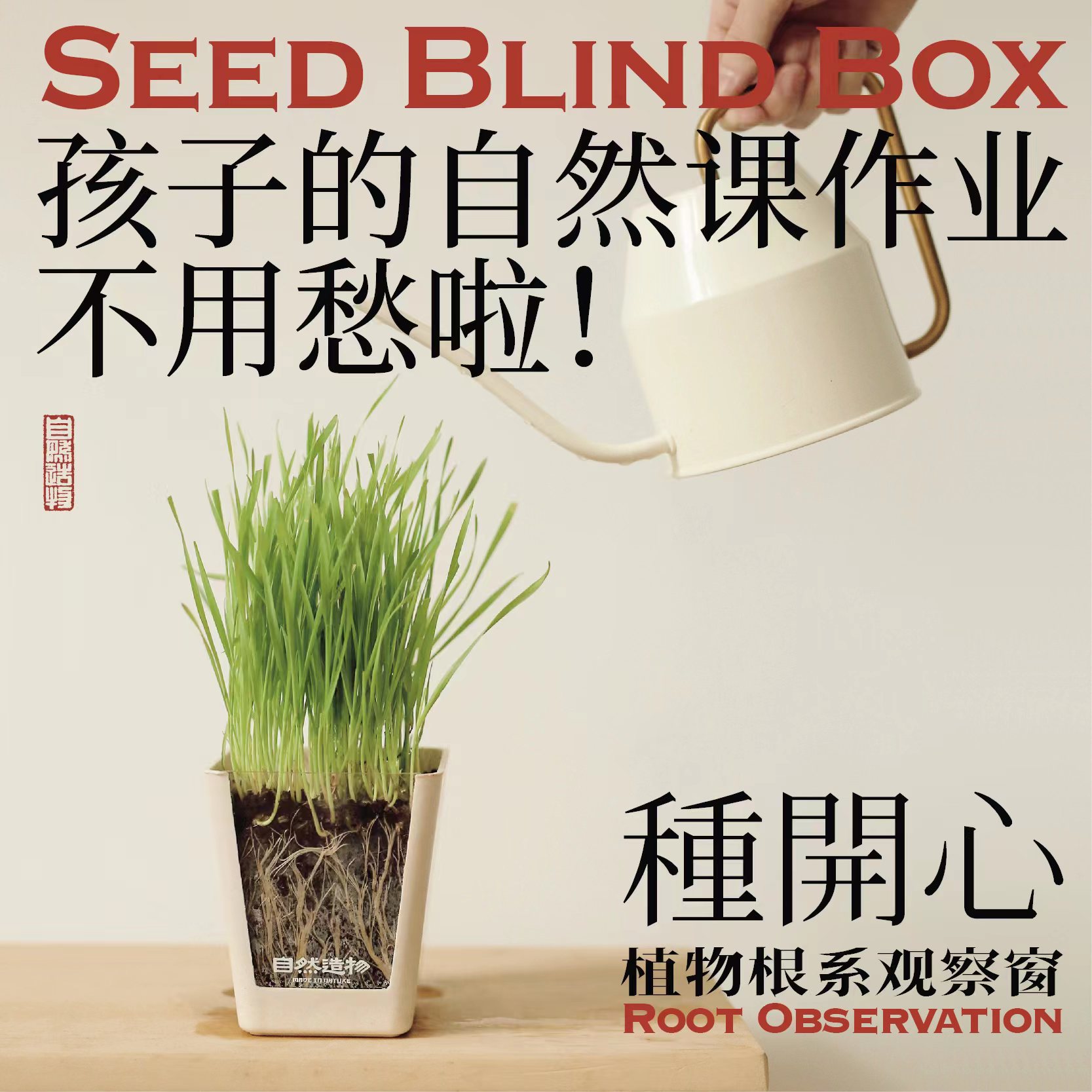 自然造物种开心植物盲盒儿童种植小盆栽办公室绿植花卉伴手礼七夕