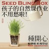 自然造物种开心植物盲盒儿童种植小盆栽办公室绿植花卉伴手礼七夕 商品缩略图0