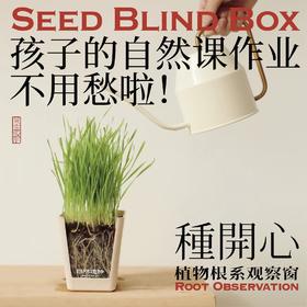 自然造物种开心植物盲盒儿童种植小盆栽办公室绿植花卉伴手礼七夕