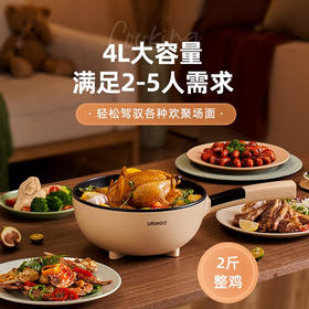 七彩叮当（QICAIDINGDANG） 电炒锅多功能一体不粘锅带蒸笼家用电炒锅大功率4L大容量电炒锅