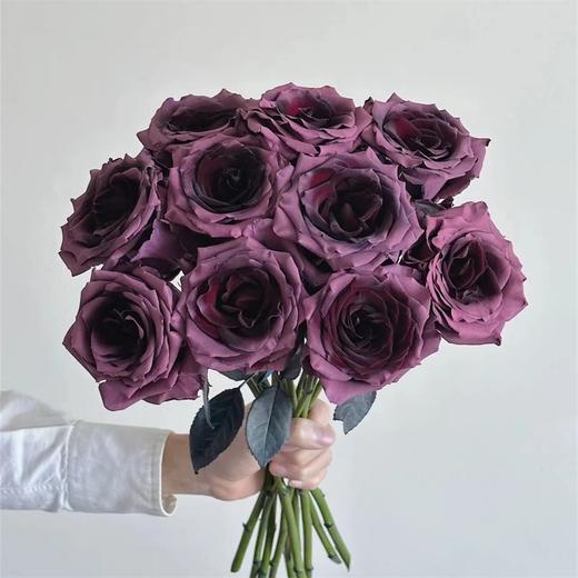 预售厄瓜多尔进口染色PRUNE AMETHYST梅子乌梅子酱玫瑰10支 商品图0