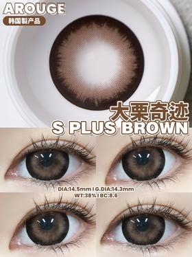 大栗奇迹约14.5mm【半年抛】 