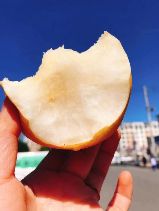 冰糖梨一箱（拼团） 商品图1