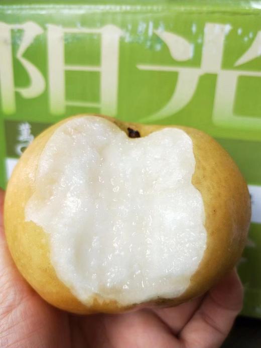 冰糖梨一箱（拼团） 商品图3