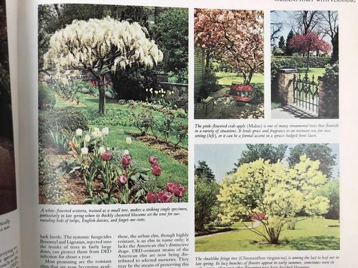 园艺图解指南 数百幅插图 精装16开 商品图9