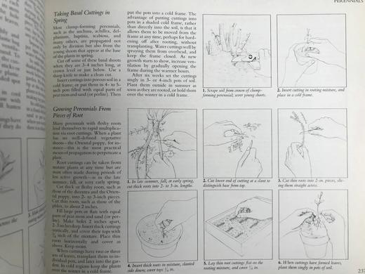 园艺图解指南 数百幅插图 精装16开 商品图13