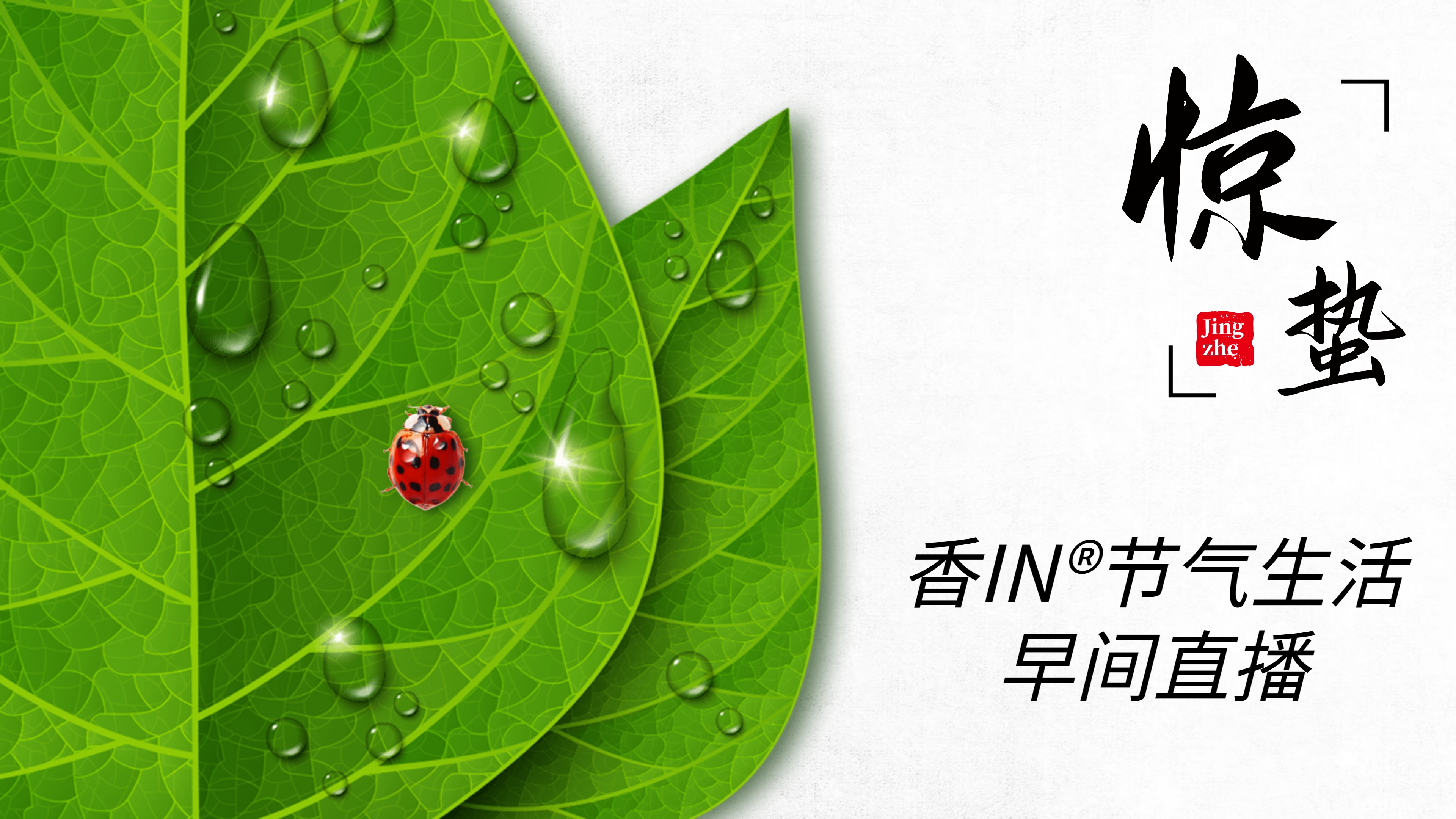 节气生活 惊蛰早直播