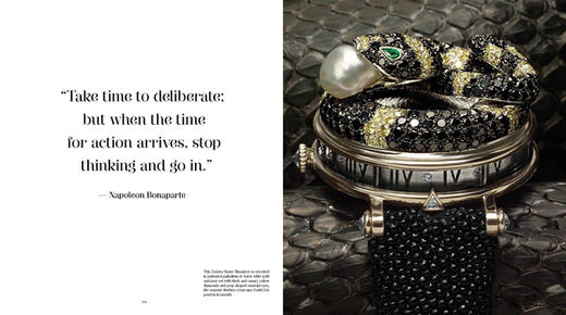 Jewels of Time: The World of Women's Watches / 时间的宝石：女士手表 商品图2