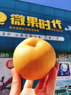 冰糖梨一箱（拼团）