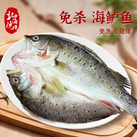 北海湾 开背海鲈鱼300g*3条 活鱼现杀 三去免处理腌制去鳞