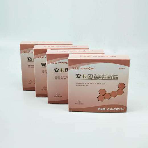 宠卡因 (盐酸利多卡因注射 液)-10ml:0.2g/支 30支/中盒 商品图3