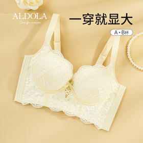 雅黛丽内衣女小胸聚拢显大收副乳蕾丝无钢圈调整型文胸罩