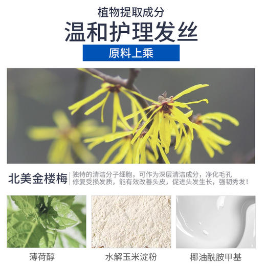 杰威尔男士活力净澈去屑洗发露（控油去屑）500g 商品图1