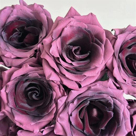 预售厄瓜多尔进口染色PRUNE AMETHYST梅子乌梅子酱玫瑰10支 商品图3