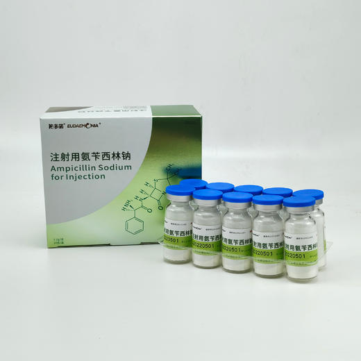注射用氨苄西林钠 兽药字220121305-1g*20瓶/盒 40盒/箱 商品图1