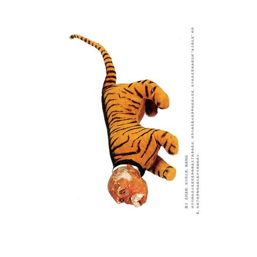 剑桥第一次世界大战史（第3卷：民间社会）/第三卷/浙江大学出版社/杰伊·温特/王本涛/徐蒙/柏友春/王唯笑/李朝霞 商品图3