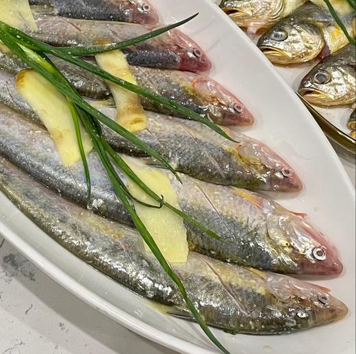 至鲜海刀鱼 250g/3条 液氮速冻  鲜中之鲜  软嫩细腻  “明前刀”骨软如绵哦~ 商品图3