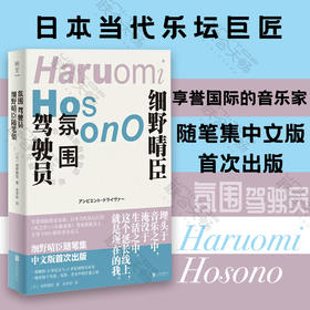 氛围驾驶员：细野晴臣随笔集