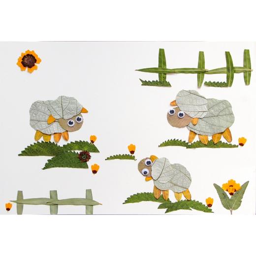 树叶手工贴画DIY材料包套装 小学生儿童创意植物标本画 商品图2