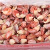 莱克 鲜冻龙虾尾 虾球 3斤左右盒装 商品缩略图4