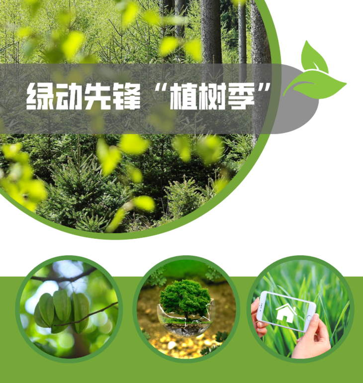 20250316【绿动先锋植树季】