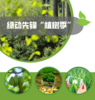 20250316【绿动先锋植树季】 商品缩略图0