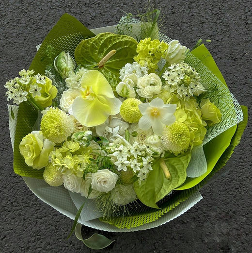 《万物生》绿掌蝴蝶兰花束 商品图0