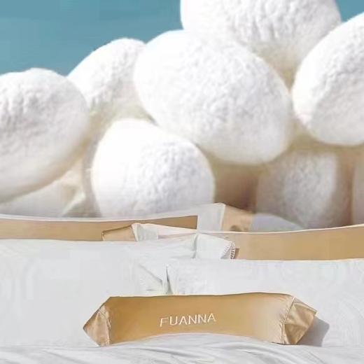 【6F】富安娜甄选桑蚕丝春秋被，吊牌价5380，店庆爆品价899 商品图3