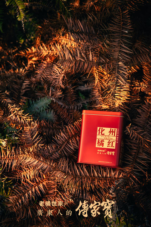 老橘世家 2005年切片橘红 B款 150克罐装 商品图4