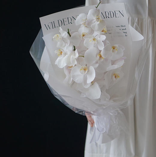 《蝴蝶飞飞》 高级感白色蝴蝶兰花束 商品图1