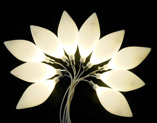 10头奶白橄榄灯串（运费自理） 商品图0