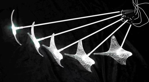 5头鳐鱼地插（运费自理） 商品图0