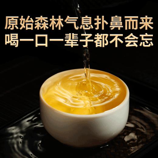 2023春茶 吉顺号古400墨江凤凰窝普洱茶生饼茶叶357g 商品图2