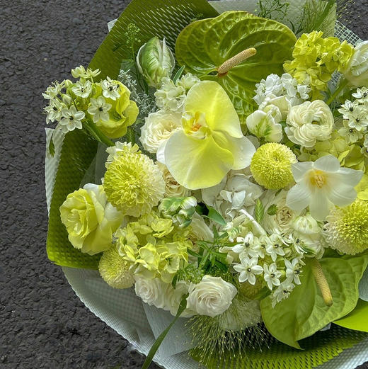 《万物生》绿掌蝴蝶兰花束 商品图2