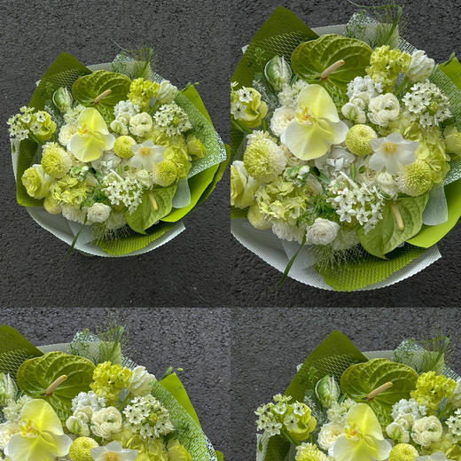 《万物生》绿掌蝴蝶兰花束 商品图3