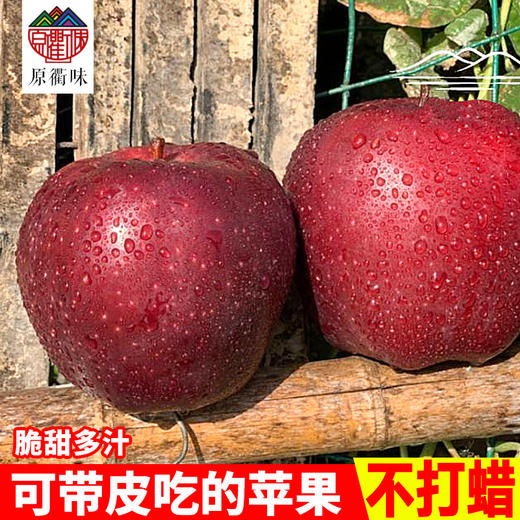 特级红富士  9枚装 商品图1