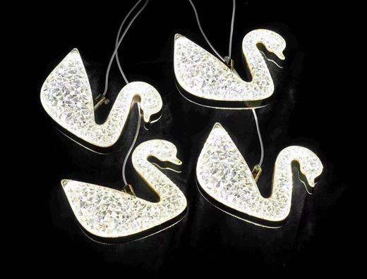 5头M-21灯串（运费自理） 商品图0