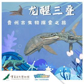 【重庆·五一 | 龙醒三叠】步入锦绣贵州探访远古巨兽