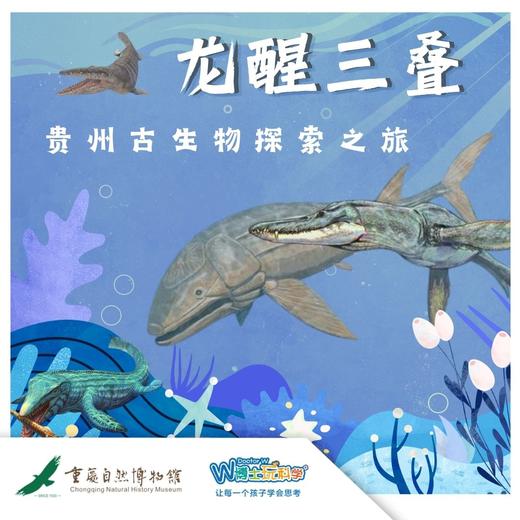 【重庆·五一 | 龙醒三叠】步入锦绣贵州探访远古巨兽 商品图0