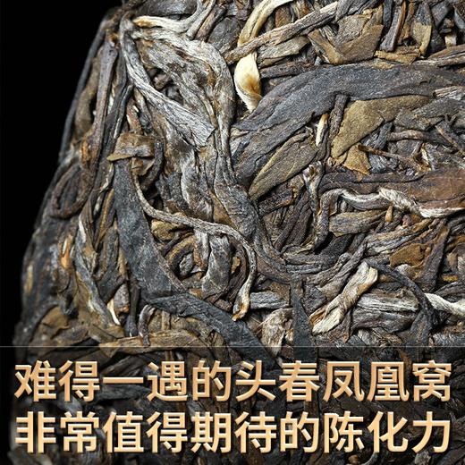 2023春茶 吉顺号古400墨江凤凰窝普洱茶生饼茶叶357g 商品图1