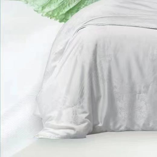 【6F】富安娜甄选桑蚕丝春秋被，吊牌价5380，店庆爆品价899 商品图1