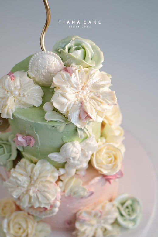 【韩式裱花】缤纷年华 商品图4