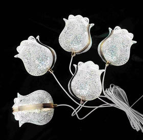 5头M-19灯串（运费自理）