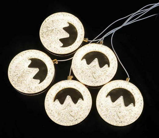 5头M-24灯串（运费自理） 商品图0