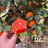 橙色星球 能量血橙 商品缩略图5