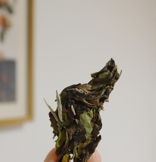 「华藏」源自有机茶园 |  春与秋寿眉拼配  香气幽而高级 清冽沁甜  福鼎白茶 商品图3