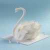 天鹅 商品缩略图2