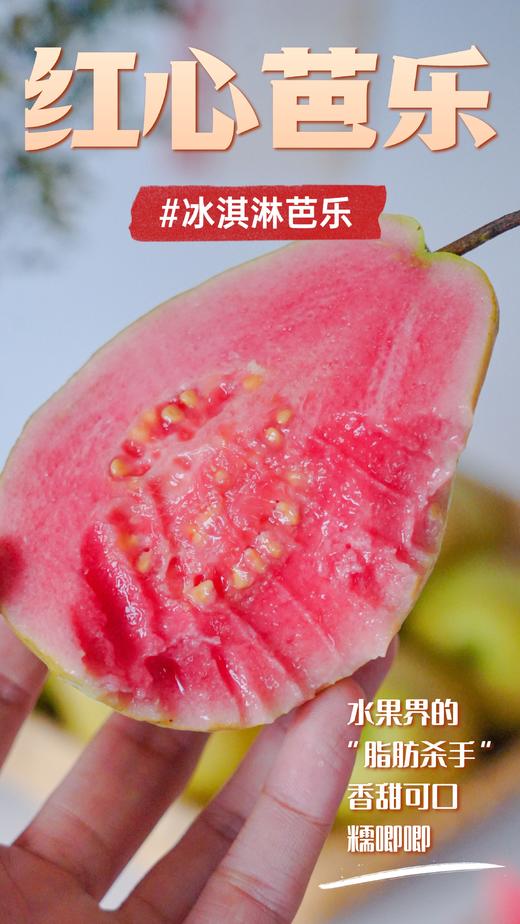 芭乐双拼！【红玫瑰芭乐/黄金奶油芭乐】 软糯番石榴 现摘现发 果肉柔滑，软糯香甜 一吃就上瘾！72小时发货～ 商品图3
