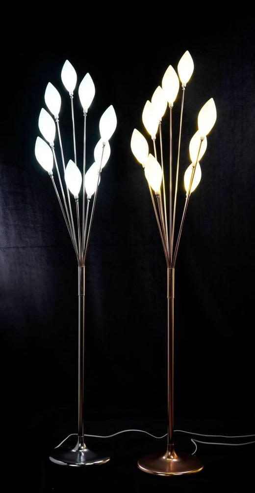 9头奶白橄榄路引（运费自理） 商品图0